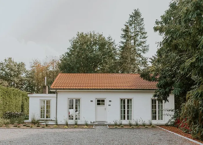 Kipdorp39